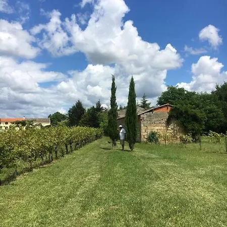Domain De Montvert - 5 Min From Saint Emilion Vila *
