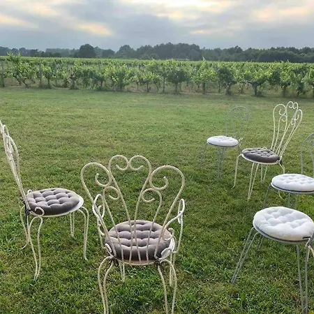 Domain De Montvert - 5 Min From Saint Emilion Villa Sainte-Terre