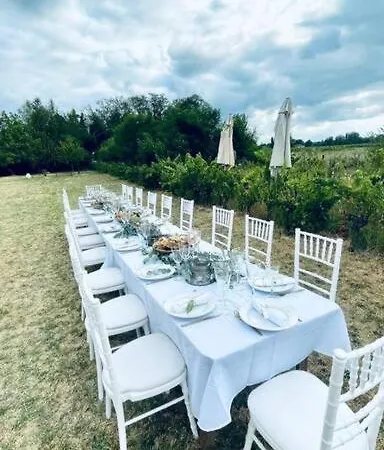 Villa Domain De Montvert - 5 Min From Saint Emilion Sainte-Terre