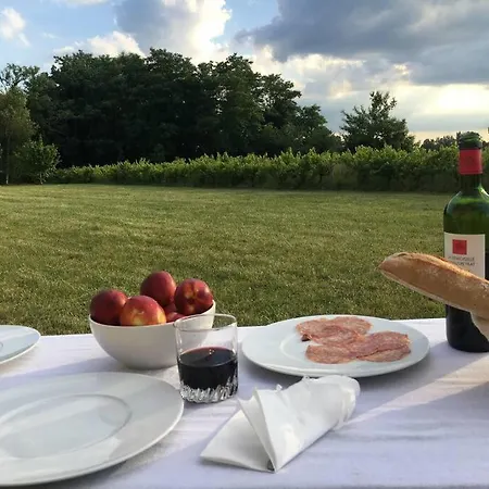 Domain De Montvert - 5 Min From Saint Emilion Sainte-Terre