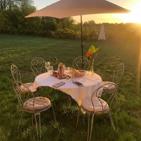 Domain De Montvert - 5 Min From Saint Emilion *