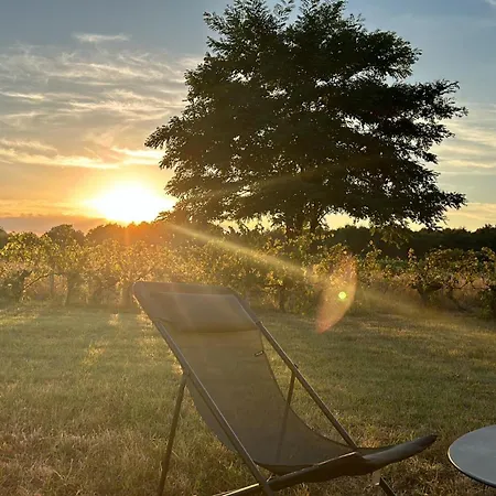 Domain De Montvert - 5 Min From Saint Emilion * Sainte-Terre