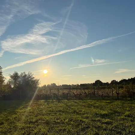 Domain De Montvert - 5 Min From Saint Emilion Villa