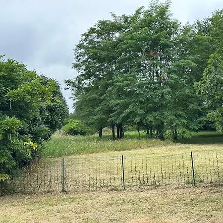 Villa Domain De Montvert - 5 Min From Saint Emilion