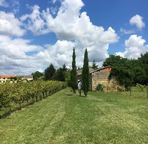 Domain De Montvert - 5 Min From Saint Emilion Villa *