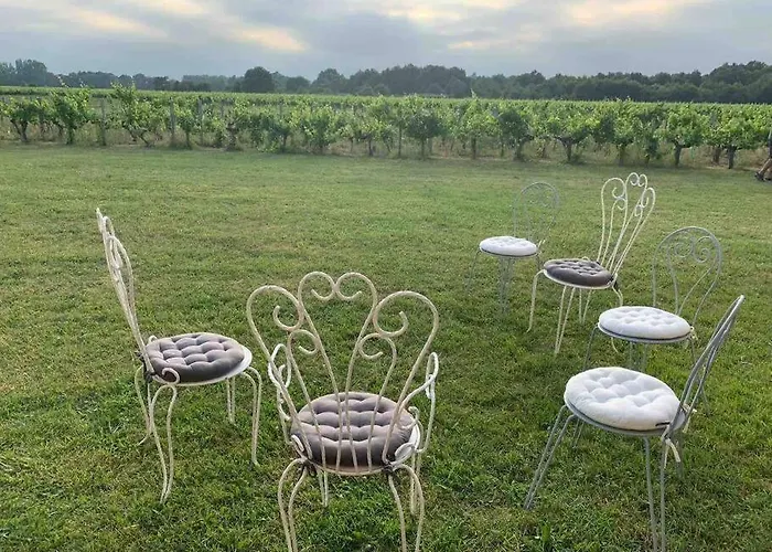 Domain De Montvert - 5 Min From Saint Emilion Villa Sainte-Terre