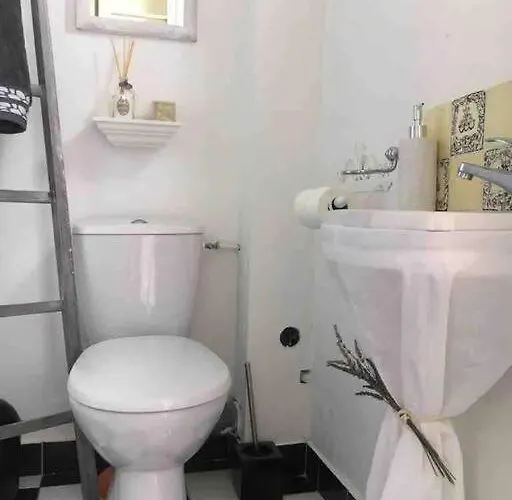 Domain De Montvert - 5 Min From Saint Emilion *