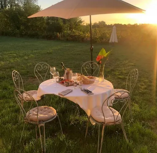 Domain De Montvert - 5 Min From Saint Emilion *