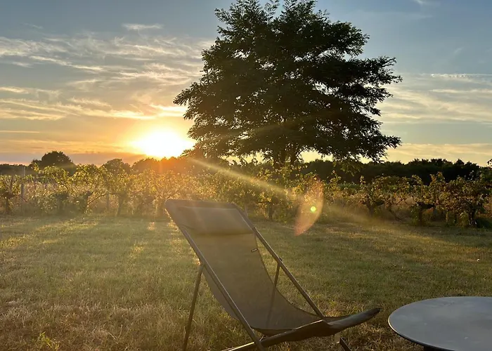 Domain De Montvert - 5 Min From Saint Emilion * Sainte-Terre