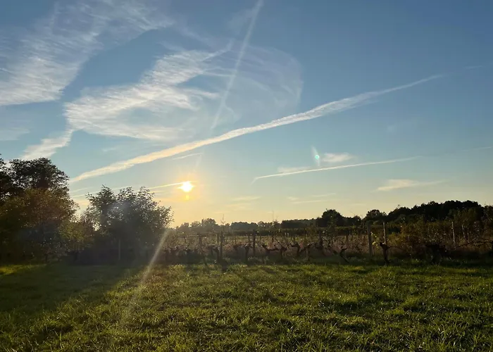 Domain De Montvert - 5 Min From Saint Emilion Villa